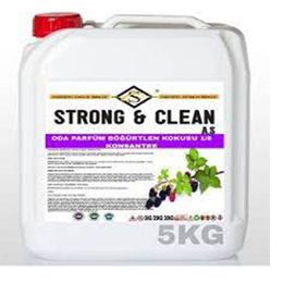 Strong&Clean 20 kg Oda Parfüm Konsantre 1/8 Böğürtlen Kokulu