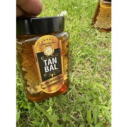 Tanbal 1 kg Organik Petekli Süzme Bal