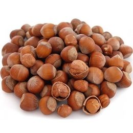 Tanzimat Kuruyemiş 500 gr Kabuklu Fındık