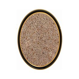 Tarihi Heybeli Baharat 500 gr Karnıyarık Otu Tohumu