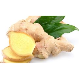 Taze Zencefil