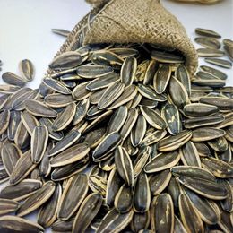 Taze7 500 gr Çiğ Ay Çekirdeği