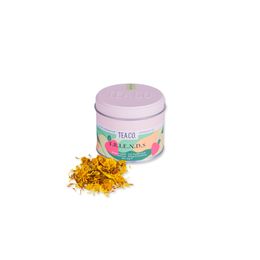 Tea Co. 25 gr Teneke Kutu Friends Egzotik Meyveli Çay
