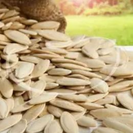 Ticaret Denizi 1.25 kg Tuzsuz Elek Üstü İri Boy Yerli Nevşehir Lüx Çiğ Kabak Çekirdeği