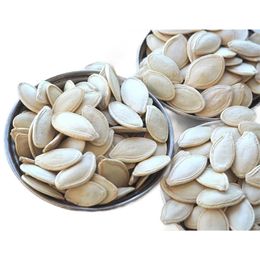 Ticaret Denizi 1.5 kg Çiğ Tuzsuz Kabak Çekirdeği
