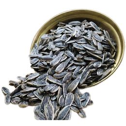 Ticaret Denizi 1.5 kg Kavrulmuş Tuzlu Dakota Çekirdek