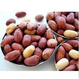 Ticaret Denizi 1.68 kg Jumbo Büyük Boy Tuzsuz Çifte Kavrulmuş Osmaniye Yer Fıstığı