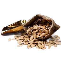 Ticaret Denizi 1.75 kg Kavrulmuş Tuzlu Kabak Çekirdeği