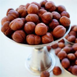 Ticaret Denizi 1 kg Çiğ Giresun Doğal Yerli Yeni Mahsül Fındık İçi
