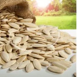 Ticaret Denizi 1 kg Tuzsuz Elek Üstü İri Boy Yerli Nevşehir Lüx Çiğ Kabak Çekirdeği