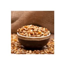 Ticaret Denizi 100 gr Çifte Kavrum Yumuşak Elek Üstü Yeni Mahsül Mısır Kavurga
