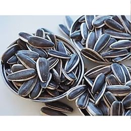 Ticaret Denizi 100 gr Çiğ Dakota Çekirdek