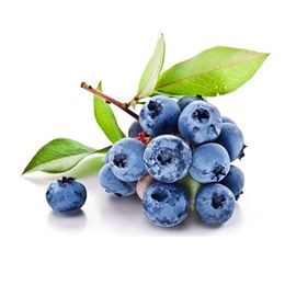 Ticaret Denizi 1,2 kg Yaban Mersini