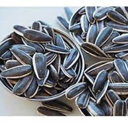 Ticaret Denizi 450 gr Çiğ Dakota Çekirdek