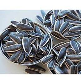 Ticaret Denizi 500 gr Çiğ Dakota Çekirdek