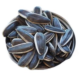 Ticaret Denizi 500 gr Kavrulmuş Tuzsuz Dakota Çekirdek