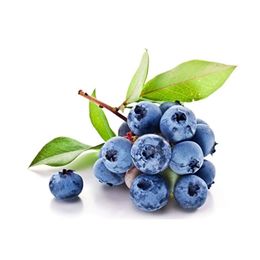 Ticaret Denizi 600 gr Yaban Mersini