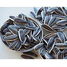 Ticaret Denizi 750 gr Çiğ Dakota Çekirdek