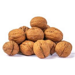 Tiryakiler Kuruyemiş 1 kg Kabuklu Ceviz