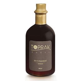Toprak Doğal 300 gr Antalya Şekersiz Dut Pekmezi