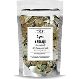TOS 250 gr Ayva Yaprağı