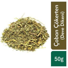 TOS 50 gr Tribulus Terrestris Çoban Çökerten