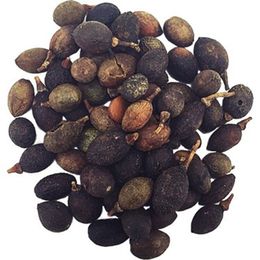 TOS The Organic Spices 100 gr 1. Kalite Defne Tohumu