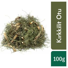 TOS The Organic Spices 100 gr 1.Kalite Kırkkilit Otu At Kuyruğu