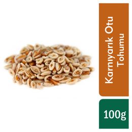 TOS The Organic Spices 100 gr Karnıyarık Otu Tohumu