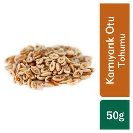 TOS The Organic Spices 50 gr Karnıyarık Otu Tohumu