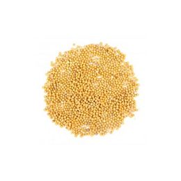 TOS The Organic Spices 500 gr 1. Kalite Sarı Hardal Tohumu