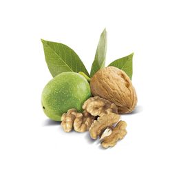 Trabzon Pazarı 2x140 gr Ceviz İçi