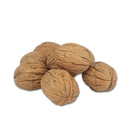 Tuğba Kuruyemiş 1 kg Kabuklu Ceviz