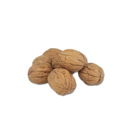 Tuğba Kuruyemiş 1 kg Kabuklu Ceviz