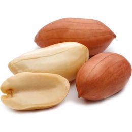 Tuğba Kuruyemiş 1 kg Tuzsuz İç Fıstık