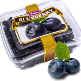 Tuğba Kuruyemiş 101 gr Blueberry Kurusu