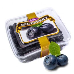 Tuğba Kuruyemiş 101 gr Blueberry Kurusu