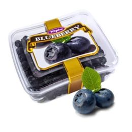 Tuğba Kuruyemiş 101 gr Blueberry Kurusu