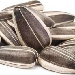 Tuğba Kuruyemiş 500 gr Tuzsuz Siyah Ayçekirdeği