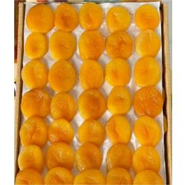 Türkiyem Organik Ürünler 1 kg Jumbo Xl Malatya Kayısı