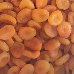 Türkiyem Organik Ürünler 1 kg Orta Boy Malatya Kayısı