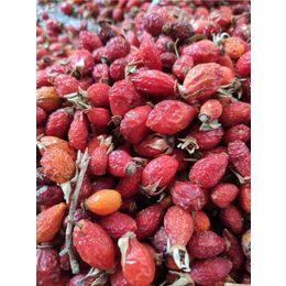 Türkiyem Organik Ürünler 1 kg Sivas Kuşburnu Kurusu