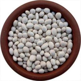 Türkiyem Organik Ürünler 500 gr İspir Fasulye
