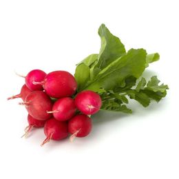 Turp Fındık