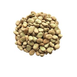 Ulamış Organik 1 kg Tane Kuru Kabuklu Bakla