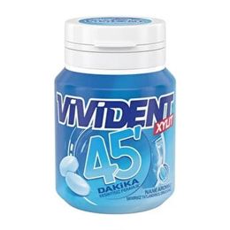 Vivident 45 Dk 67 gr Nane Aromalı Şişe Sakız