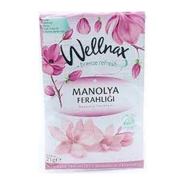 Wellnax 1 Adet Manolya Ferahlığı Dolap ve Çekmece Kokusu