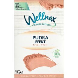 Wellnax 4'lü Pudra Efekti Kesesi Dolap ve Çekmece Kokusu