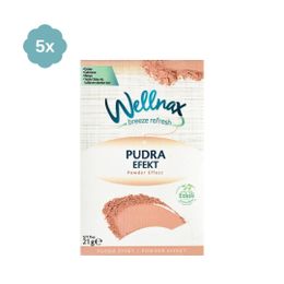 Wellnax 5'li Pudra Efekt Dolap ve Çekmece Kokusu