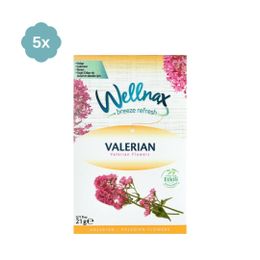 Wellnax 5'li Valerian Dolap ve Çekmece Kokusu
